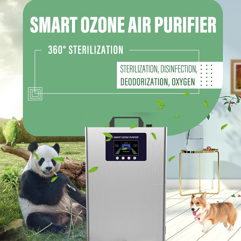 Hauptfunktionen und Anwendungsbereich der Niederdruck-Ozondesinfektionsmaschine